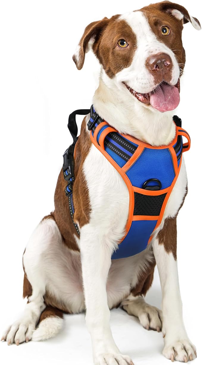 rabbitgoo Dog Harness No Pull by rabbitgoo