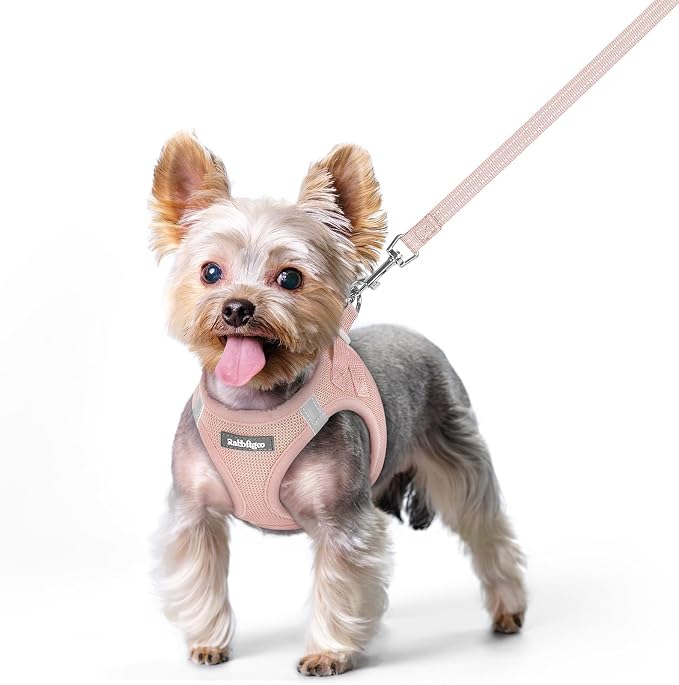 rabbitgoo Dog Harness Small Sized and Leash Set, Step in Soft Light Puppy Vest by rabbitgoo