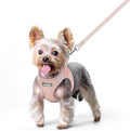 rabbitgoo Dog Harness Small Sized and Leash Set, Step in Soft Light Puppy Vest by rabbitgoo