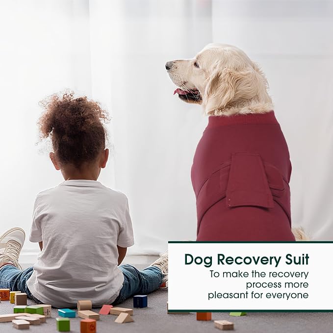 Kuoser Dog Surgery Recovery Suit, Recovery Suit - Image 6