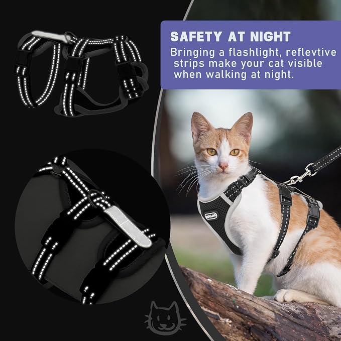 Cat Harness for Walking, Escape Proof Cat Harness and Leash Set - Image 3