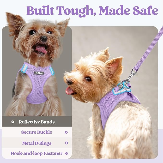 rabbitgoo Dog Harness Small Sized and Leash Set, Step in Soft Light Puppy Vest - Image 7
