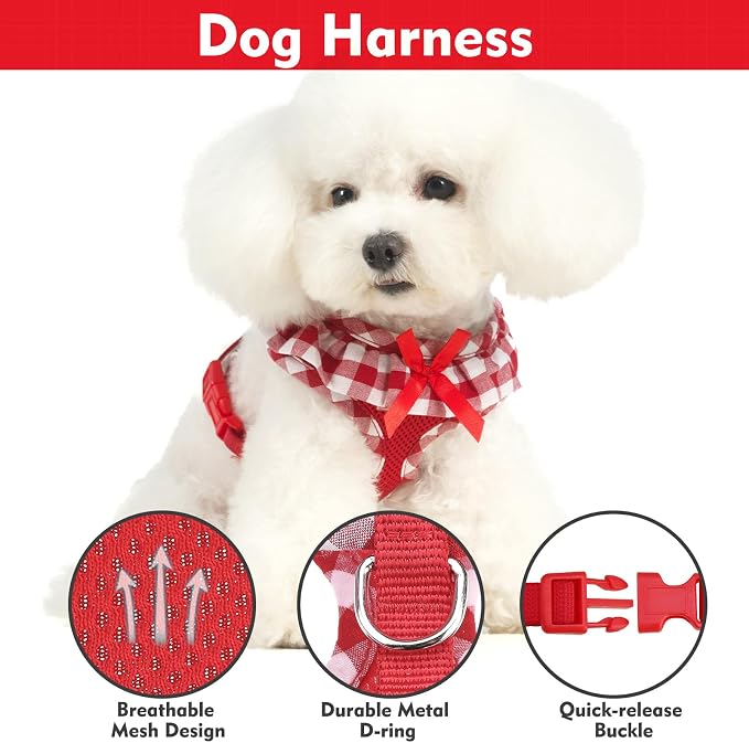 EXPAWLORER Cute Dog Harness Collar Leash Set - Image 2