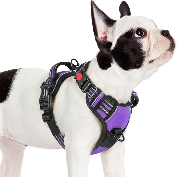 rabbitgoo Dog Harness Small Sized, No Pull Pet Harness by rabbitgoo
