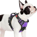 rabbitgoo Dog Harness Small Sized, No Pull Pet Harness by rabbitgoo