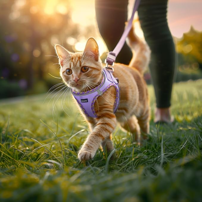 Rttochfy Cat Harness and Leash Set, Escape Proof Kitten Harness, Soft and - Image 6