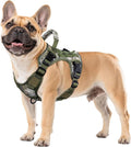 WINGOIN Tactical Dog Harness for Small Dogs, Heavy Duty No Pull Harness by WINGOIN