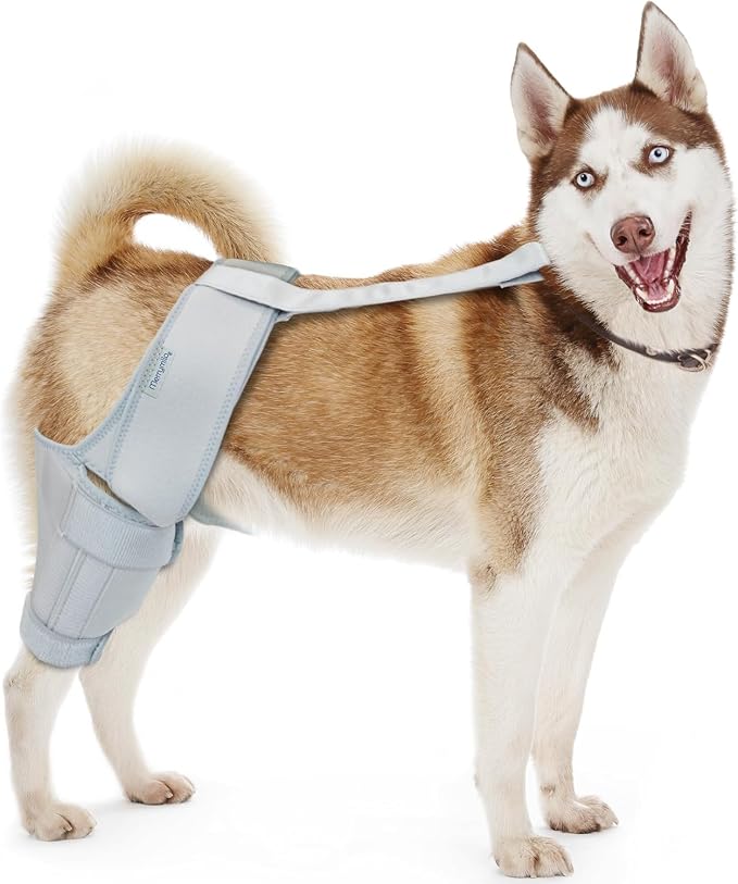 Dog Knee Brace for Torn ACL & Hind Leg Support – Adjustable Dog Hip & Leg Brace by MerryMilo