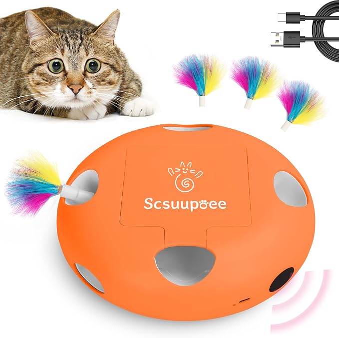 Interactive Cat Toy, Electric Cat Toys by Scsuupoeecattoys