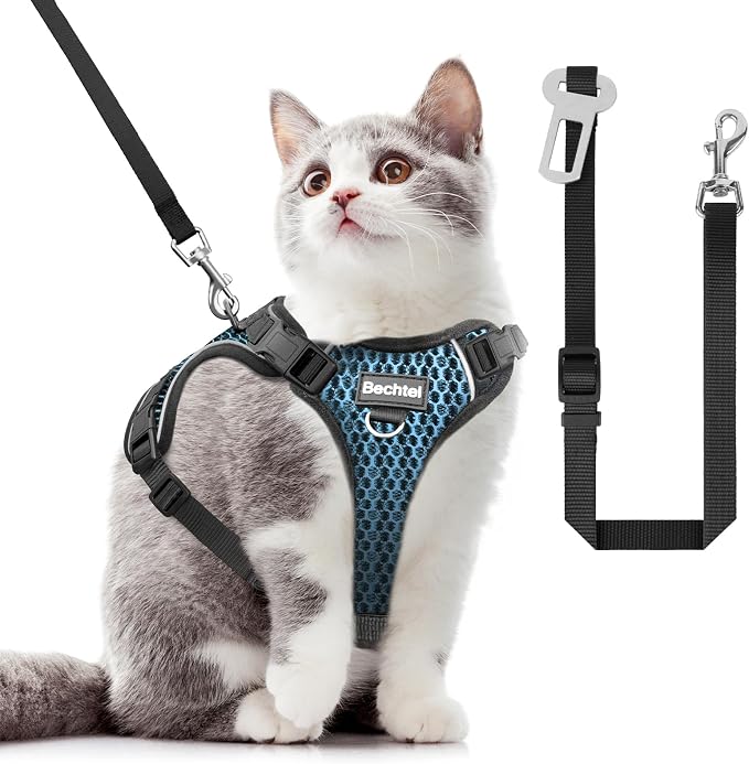 Cat Harness and Leash for Walking Escape Proof Soft Adjustable Cat Leash by BECHTEL