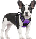 rabbitgoo Dog Harness No Pull by rabbitgoo