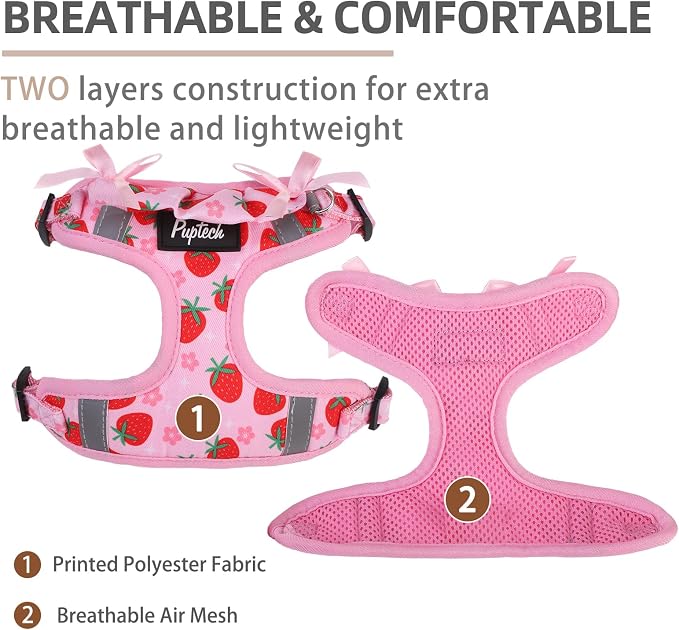 PUPTECK Dog Harness and Leash Set Small Sized, Step in No Pull Adjustable Puppy - Image 2