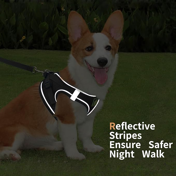 Step in Dog Harness with Leash Set, Adjustable Soft Padded and Breathable Mesh - Image 5