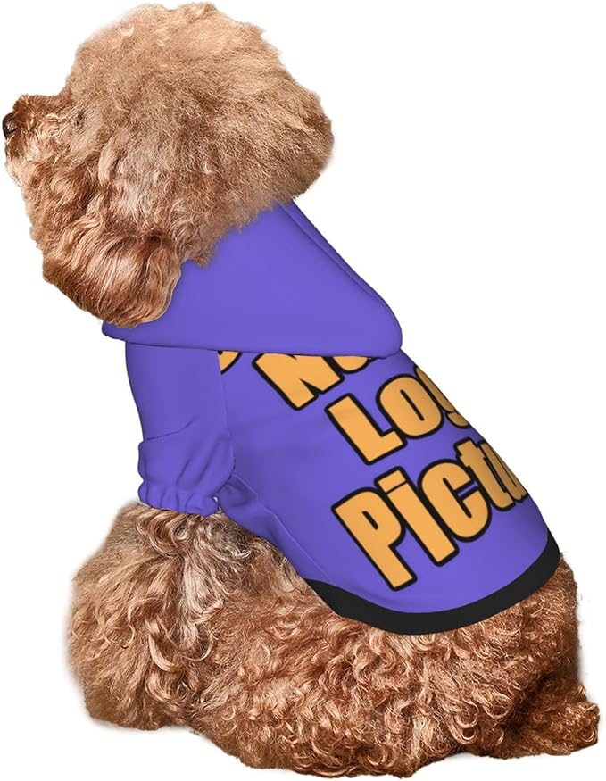 Custom Hoodie for Small Dogs Clothes Pajamas Sweater Personalized Dog Clothes - Image 8