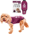 BellyGuard Dog Surgery Recovery Suit, Dog Onesie by BELLYGUARD