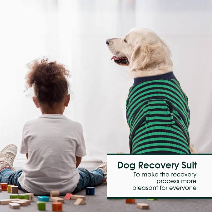 Kuoser Recovery Suit for Dogs Cats After Surgery, Professional Pet Recovery - Image 5