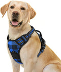 rabbitgoo Dog Harness No Pull by rabbitgoo