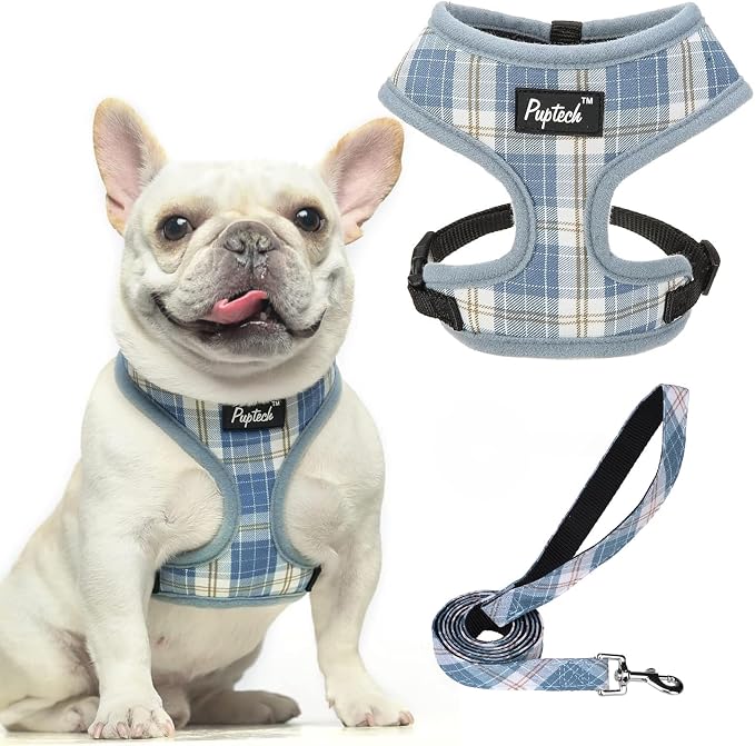 PUPTECK Soft Mesh Dog Harness and Leash Set Pet Puppy Cat Comfort Padded Vest by PUPTECK
