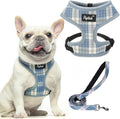 PUPTECK Soft Mesh Dog Harness and Leash Set Pet Puppy Cat Comfort Padded Vest by PUPTECK