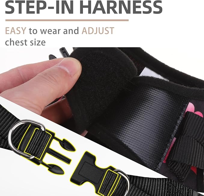 PUPTECK Dog Harness and Leash Set - Image 3