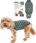 BellyGuard Dog Surgery Recovery Suit, Dog Onesie by BELLYGUARD
