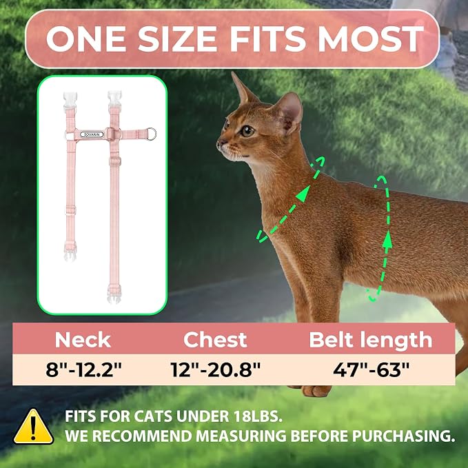 Cat Harness and Leash Set - Image 4