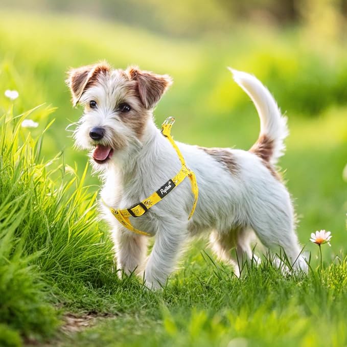 PUPTECK No Pull Dog Harness Soft Adjustable Basic Nylon Step in Puppy Vest - Image 6