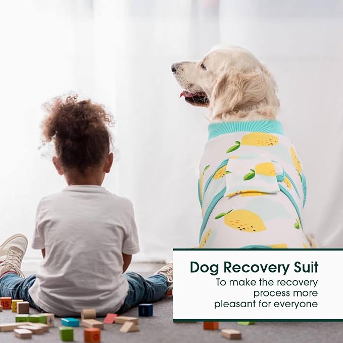 Kuoser Recovery Suit for Dogs Cats After Surgery, Professional Pet Recovery - Image 5