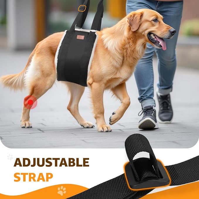 Adjustable Dog Lift Harness Dog Sling - Image 8