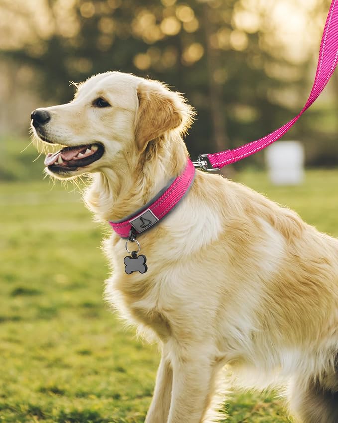 Joytale Dog Collar for Large Dogs, Neoprene Padded and Adjustable, Reflective - Image 3