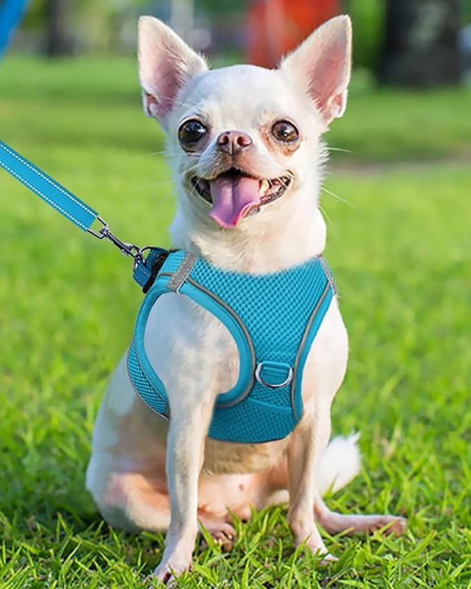 Joytale Small Dog Harness, Breathable Mesh Step-in Vest, Reflective Soft Padded - Image 2