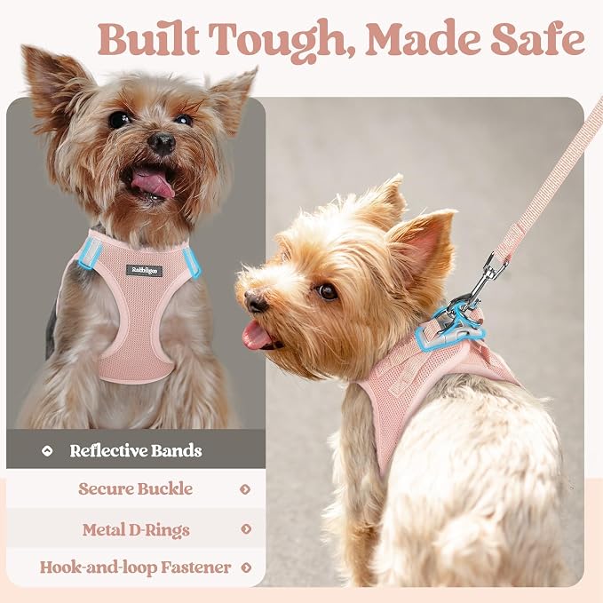 rabbitgoo Dog Harness Small Sized and Leash Set, Step in Soft Light Puppy Vest - Image 5