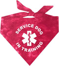 Service Dog in Training Dog Bandana by TeesTails