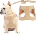 PUPTECK Dog Harness and Leash Set by PUPTECK