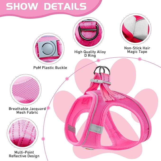Soft Mesh Dog Harness and Leash Set, No Pull Puppy Harness and Leash Set - Image 2