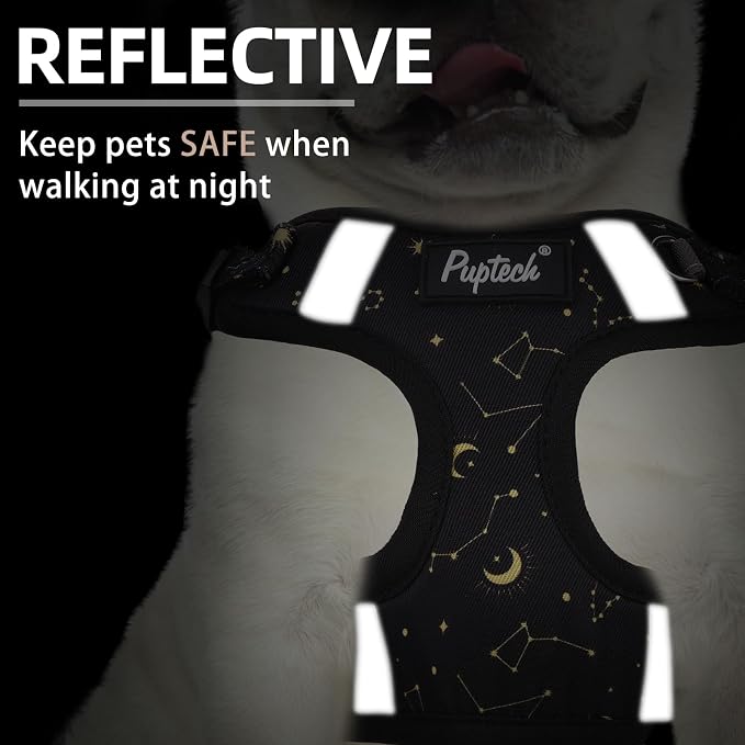 PUPTECK Dog Harness and Leash Set Medium Sized, Step in No Pull Adjustable - Image 4