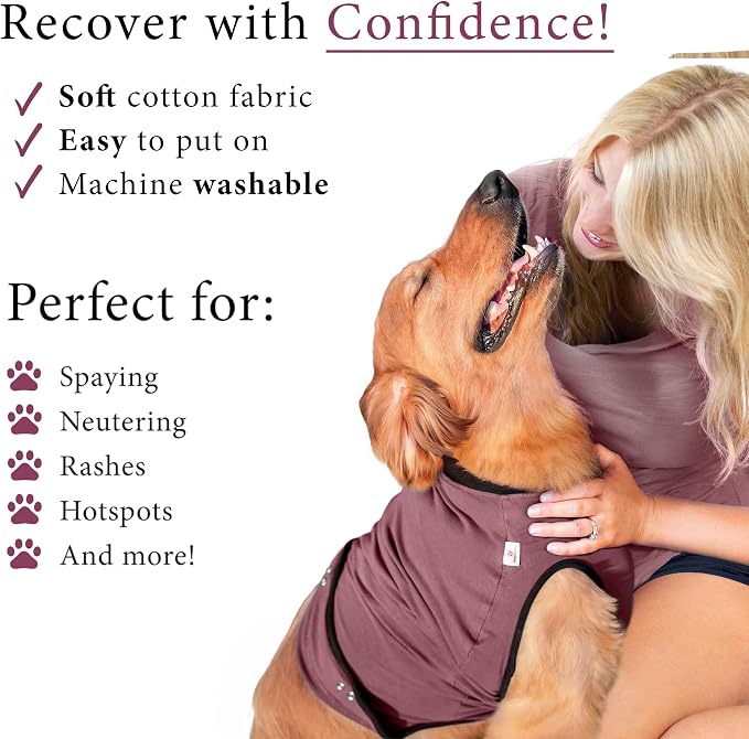 BellyGuard Dog Surgery Recovery Suit, Dog Onesie - Image 4