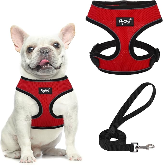 PUPTECK Soft Mesh Dog Harness and Leash Set Pet Puppy Cat Comfort Padded Vest by PUPTECK