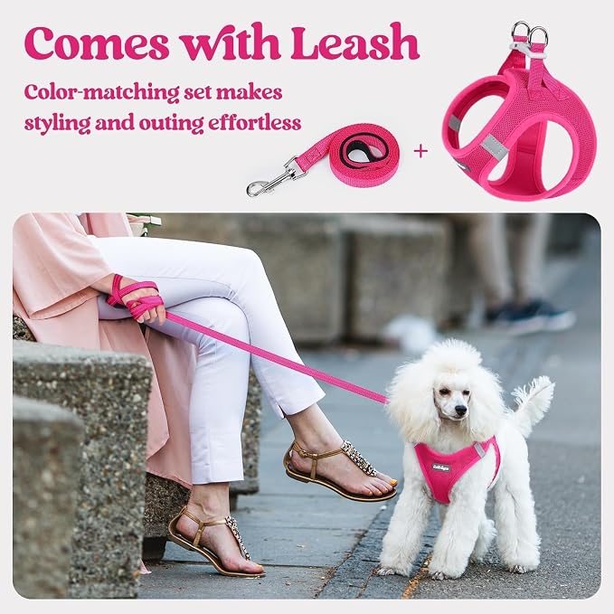rabbitgoo Dog Harness Small Sized and Leash Set, Step in Soft Light Puppy Vest - Image 6