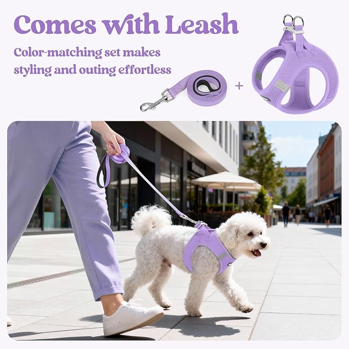 rabbitgoo Dog Harness Small Medium Sized and Leash Set, Step in Soft Light - Image 5