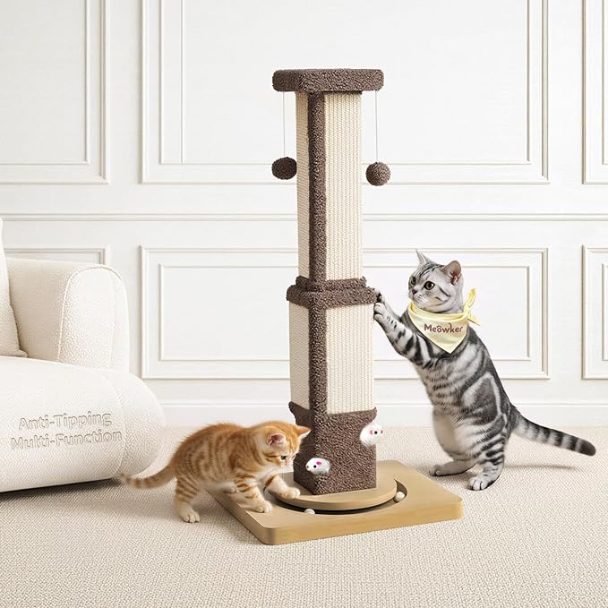 Tall Cat Scratching Post for Large Cats Kittens, Shields Furniture from by Unknown