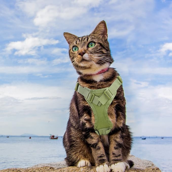 AIWAI Tactical Cat Harness for Walking Escape Proof, Adjustable Pet Vest Harness - Image 4