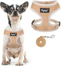PUPTECK Soft Mesh Dog Harness and Leash Set Pet Puppy Cat Comfort Padded Vest by PUPTECK