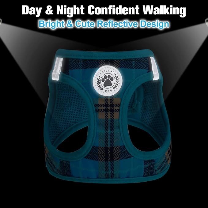 BEAUTYZOO Small Dog Harness and Leash Set, Step in No Choke No Pull Soft Mesh - Image 7