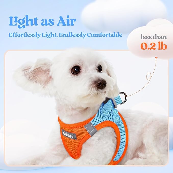 rabbitgoo Dog Harness Small Sized and Leash Set, Step in Soft Light Puppy Vest - Image 3