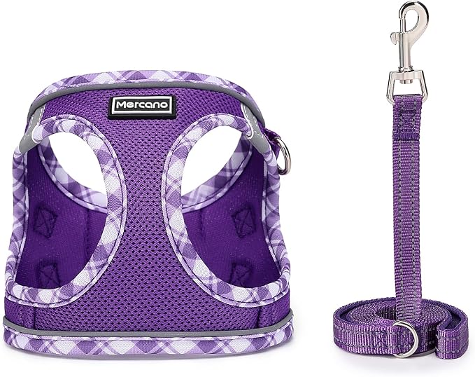 Mercano Soft Mesh Dog Harness and Leash Set, No-Chock Step-in Reflective - Image 2