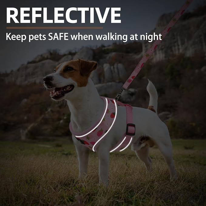PUPTECK Soft Mesh Dog Harness and Leash Set Pet Puppy Cat Comfort Padded Vest - Image 6