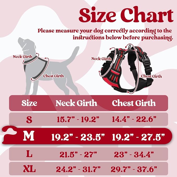 rabbitgoo Dog Harness Medium Sized, No Pull Pet Harness - Image 2