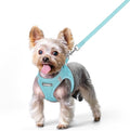 rabbitgoo Dog Harness Small Sized and Leash Set, Step in Soft Light Puppy Vest by rabbitgoo