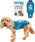 BellyGuard Dog Surgery Recovery Suit, Dog Onesie by BELLYGUARD